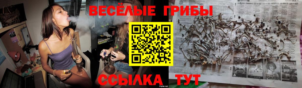 Троицк  Галлюциногенные грибы GOLDEN TEACHER  Галлюциногенные грибы MAGIC MUSHROOMS  Вход с VPN 